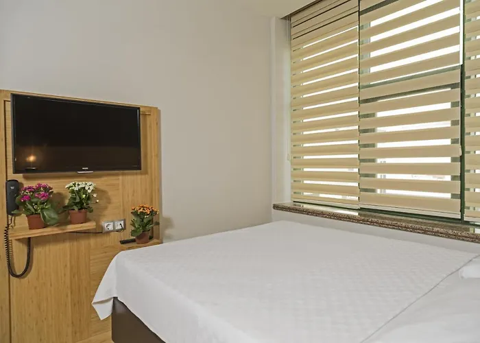 Hotel Demir Istanbulská provincie